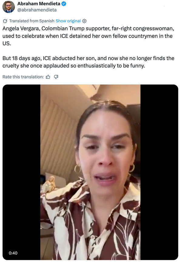 Vergara's Immigration Policy Reversal: Her Son's ICE Detention